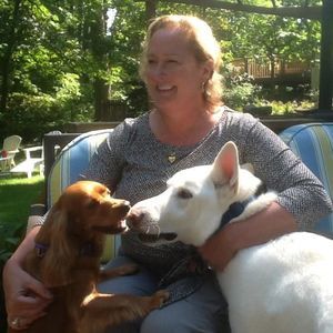 Meet your Posher, Anne